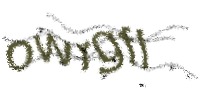 校验码